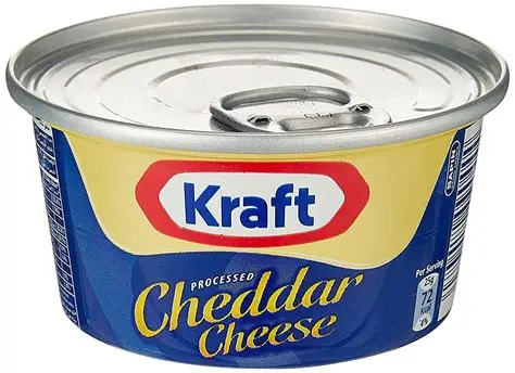 Kraft Processed Cheese TIN 100g